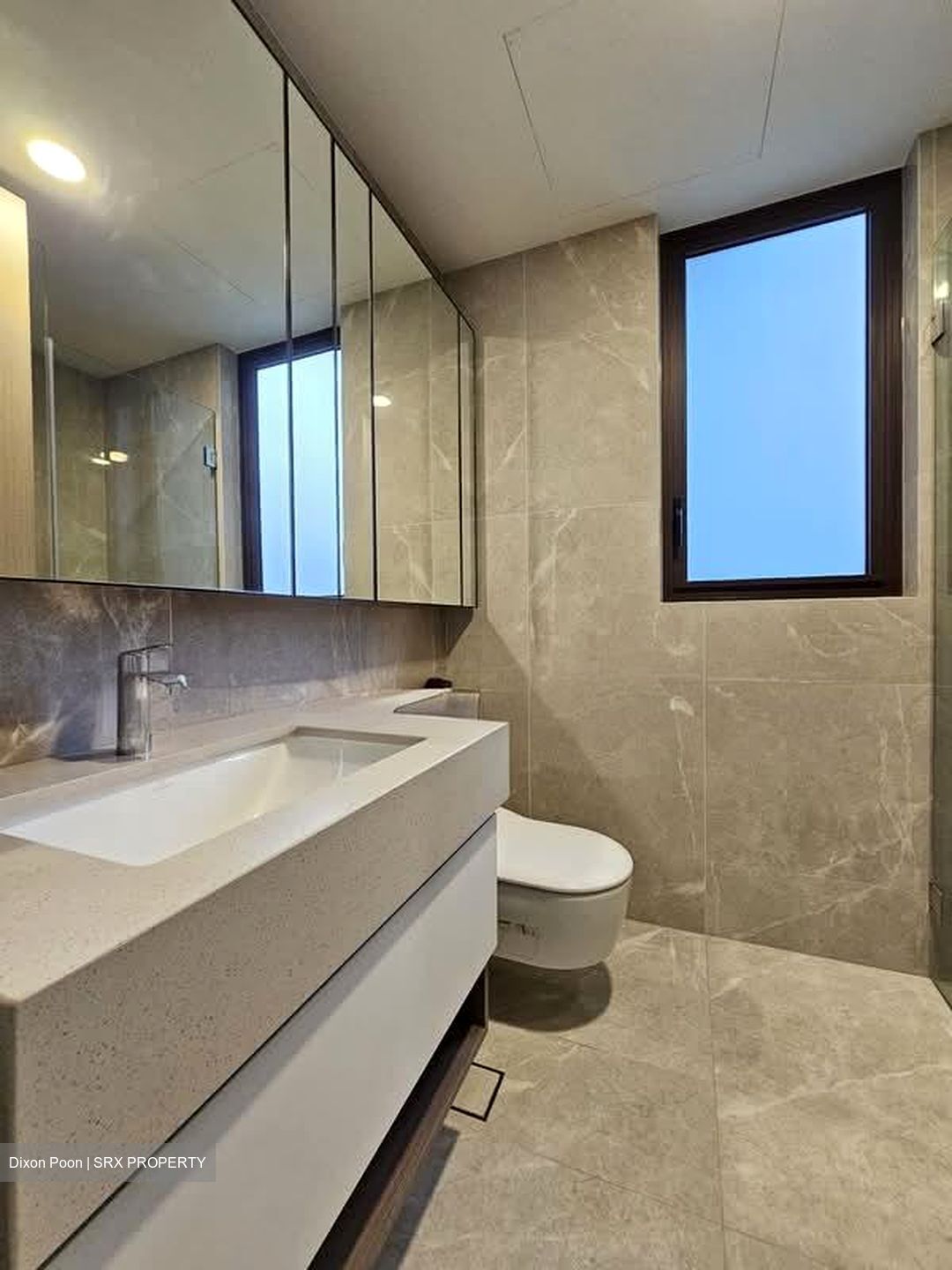Dairy Farm Residences (D23), Apartment #551683791